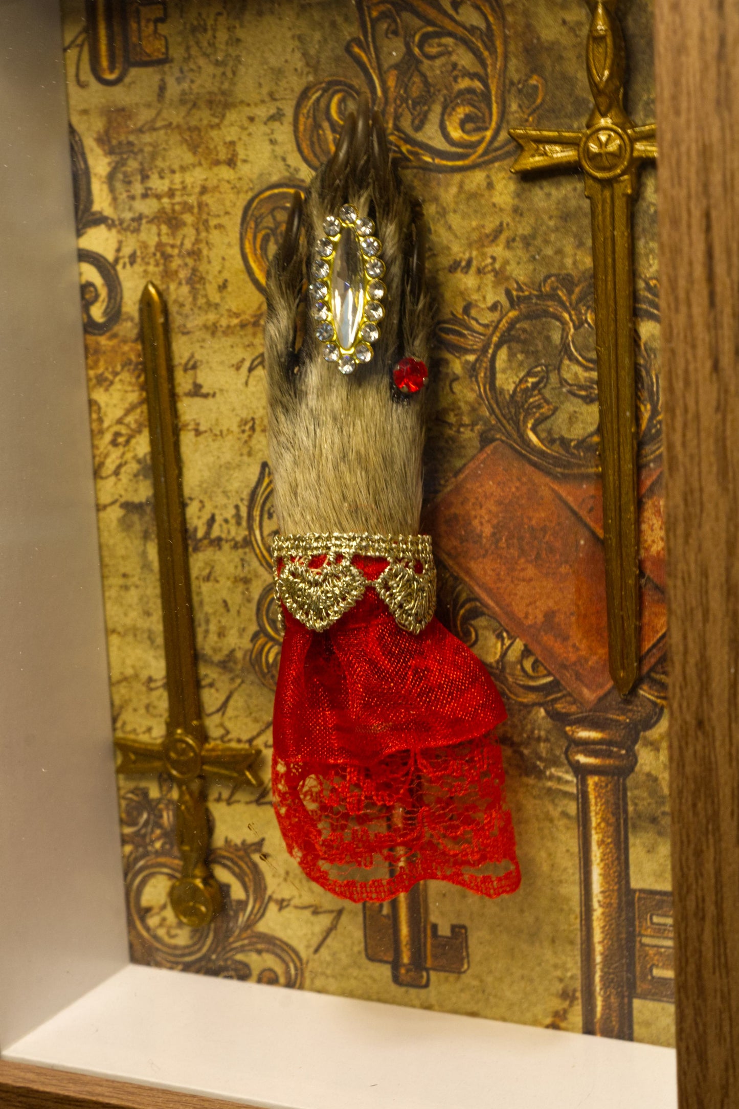 Racoon Swords Shadowbox