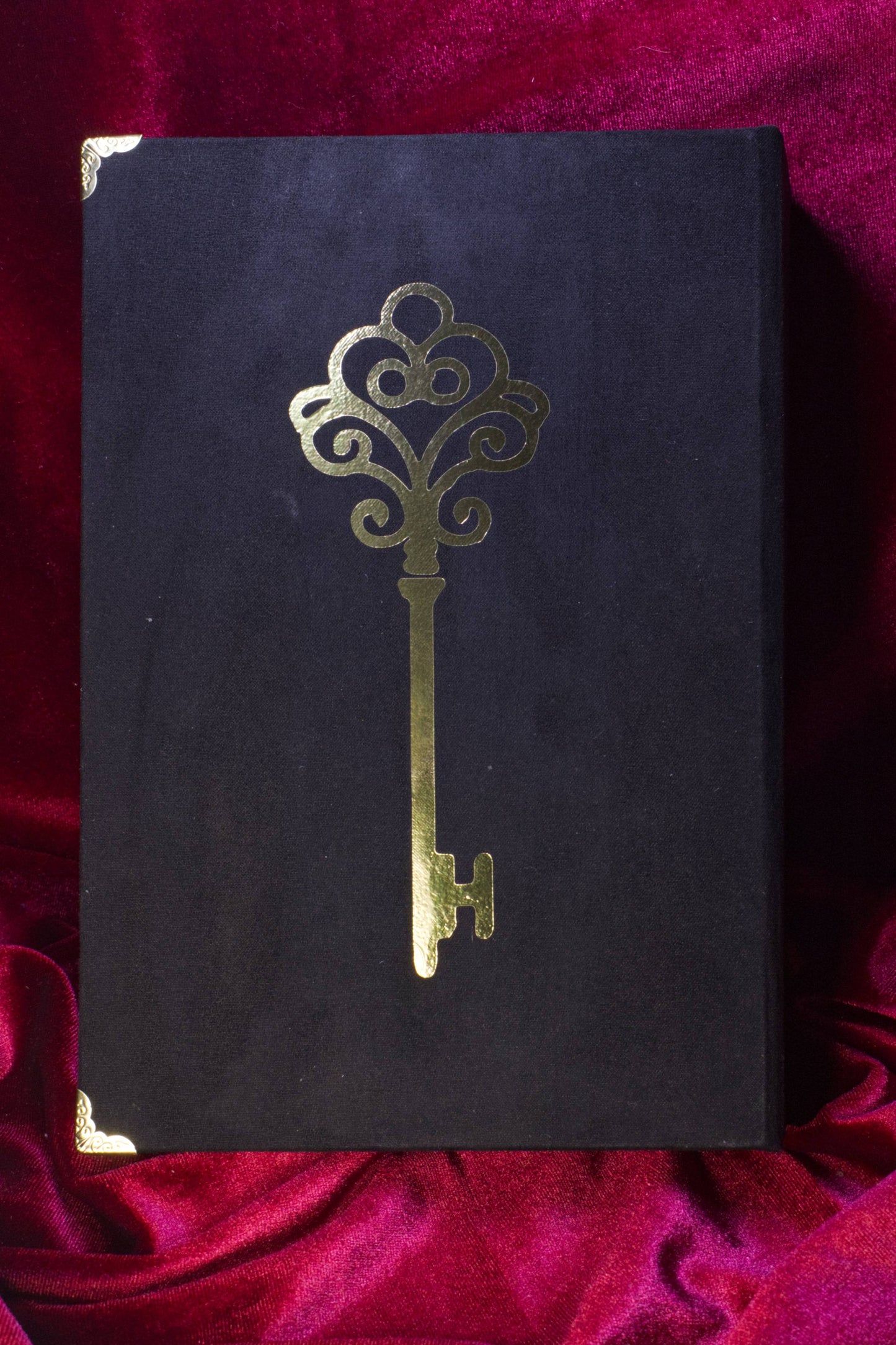 Sanguis and Scriptum Journal