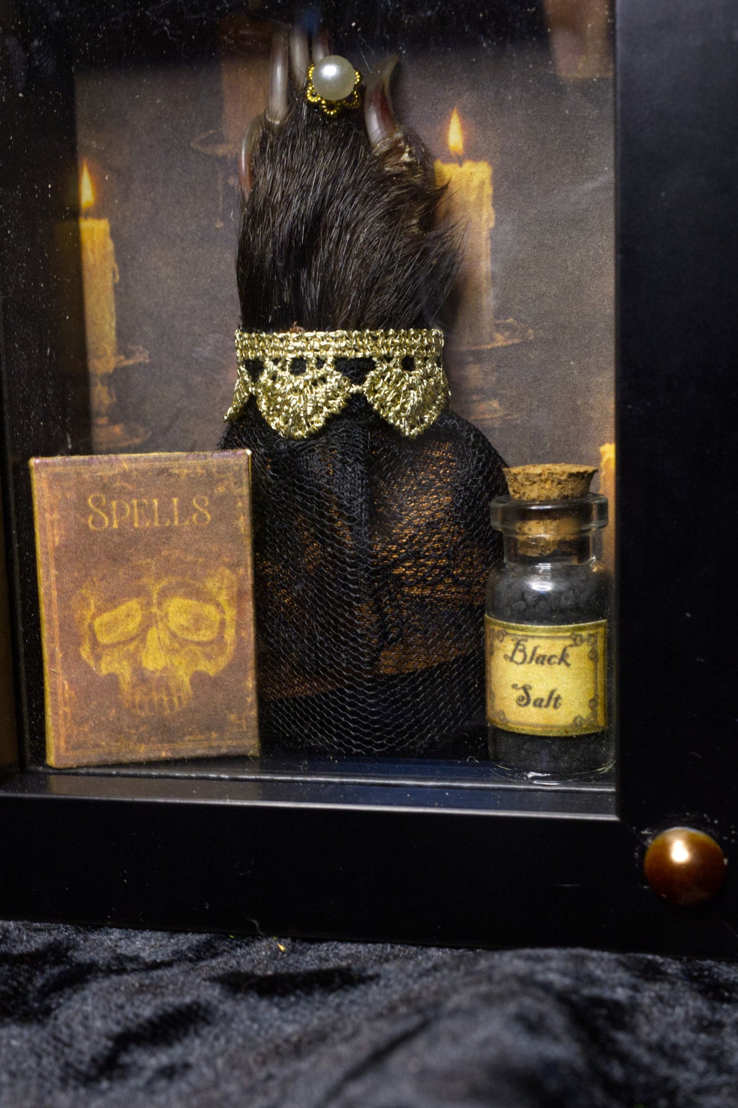The Witch's Familiar