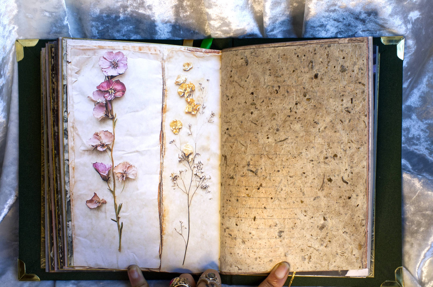 Verdant Thoughts Journal