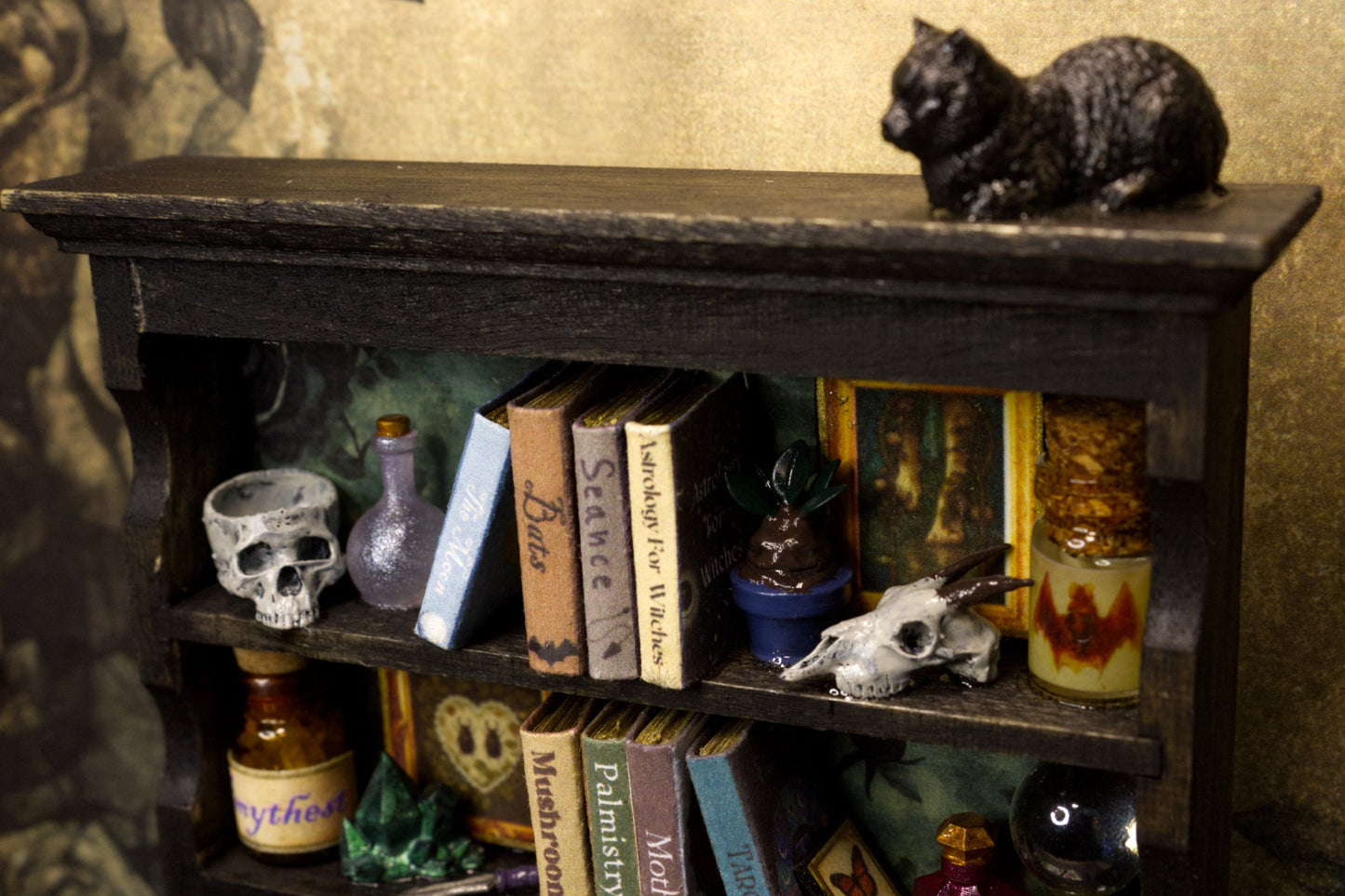Whimsigoth Cabinet