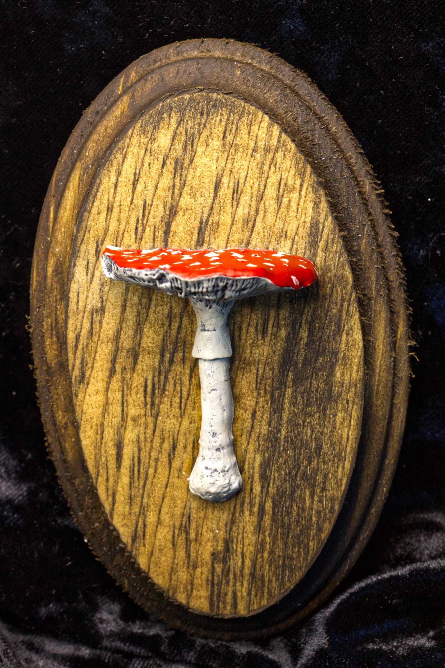 Mushroom Hanger Set