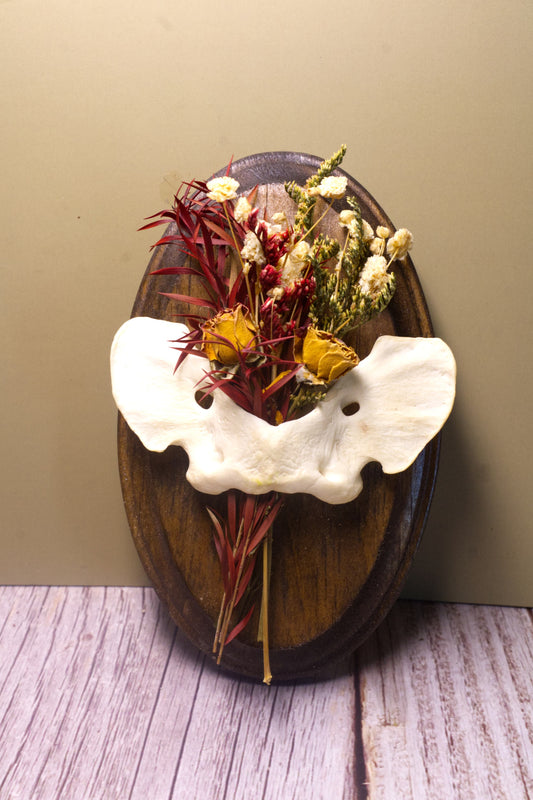 Atlas Floral Wall Hangers Small