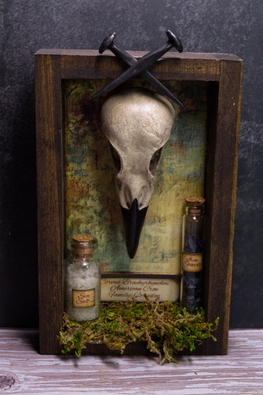 Crow Protection Shadowbox