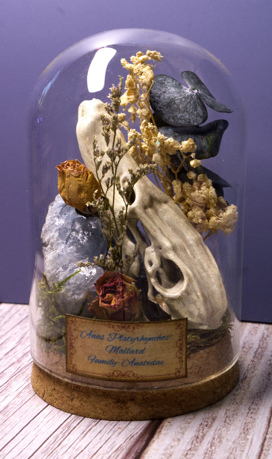 Mallard Cloche