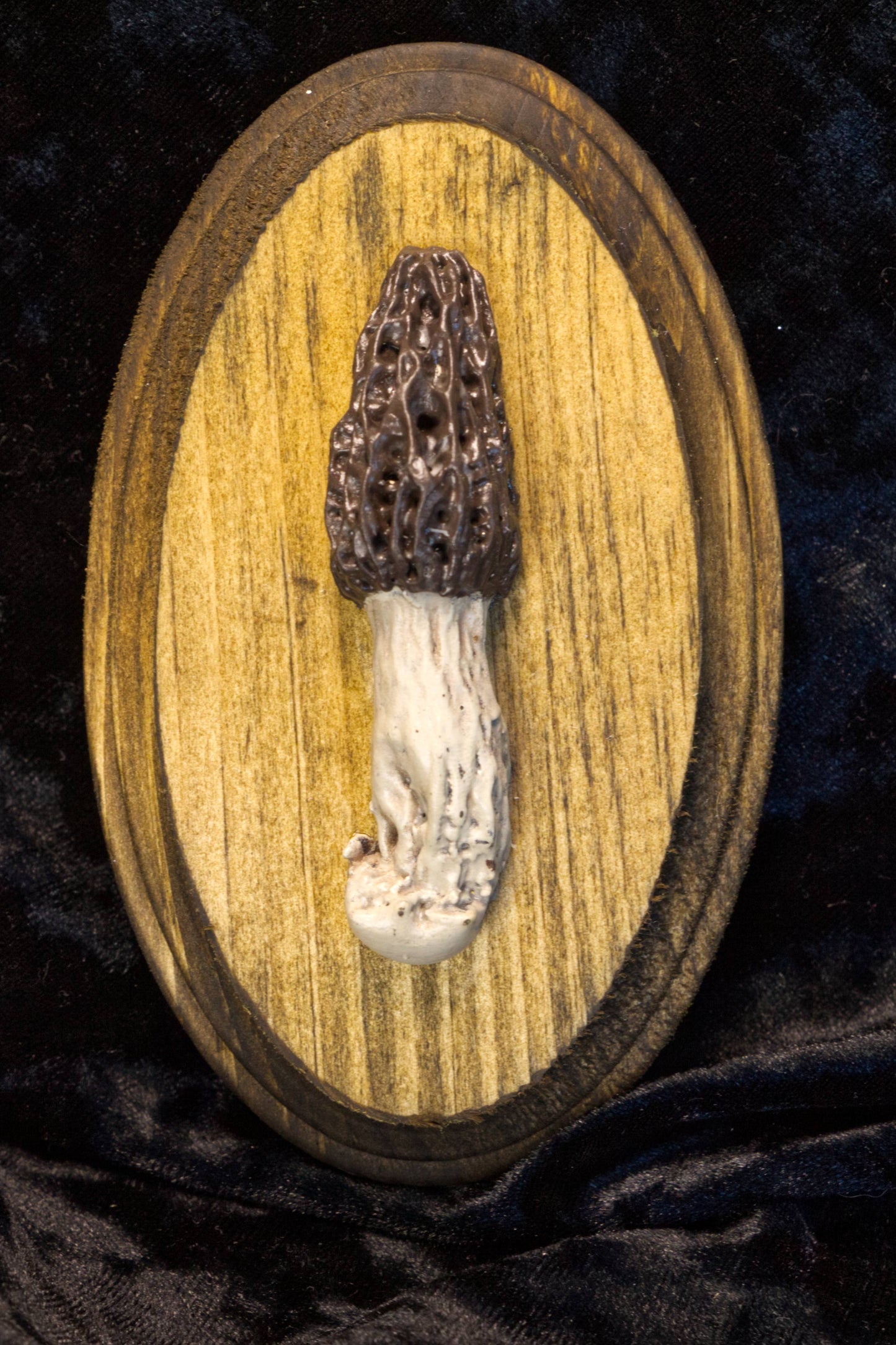 Mushroom Hanger Set