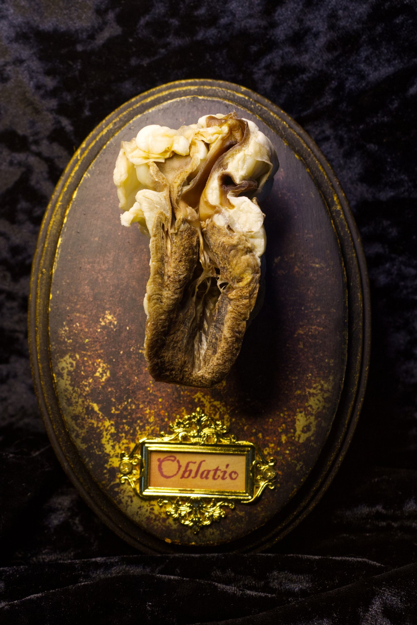 Oblatio