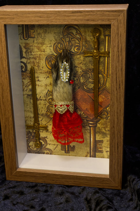 Racoon Swords Shadowbox