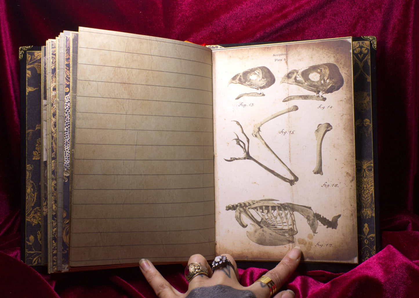 Sanguis and Scriptum Journal