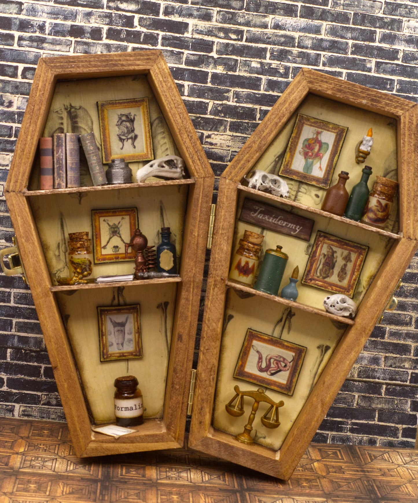 Taxidermy/Wet Specimen Coffin