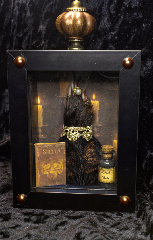 The Witch's Familiar