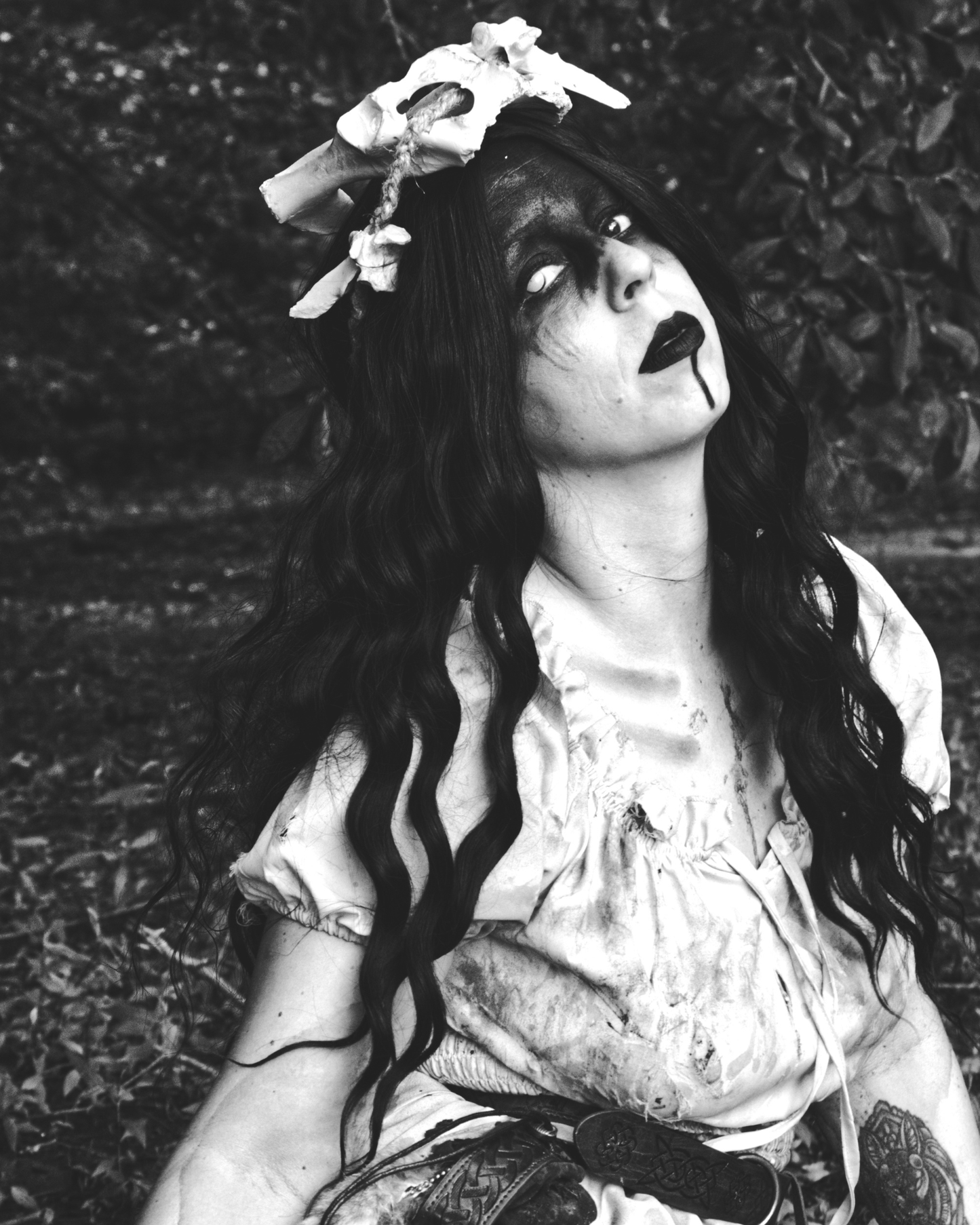 Original Photography