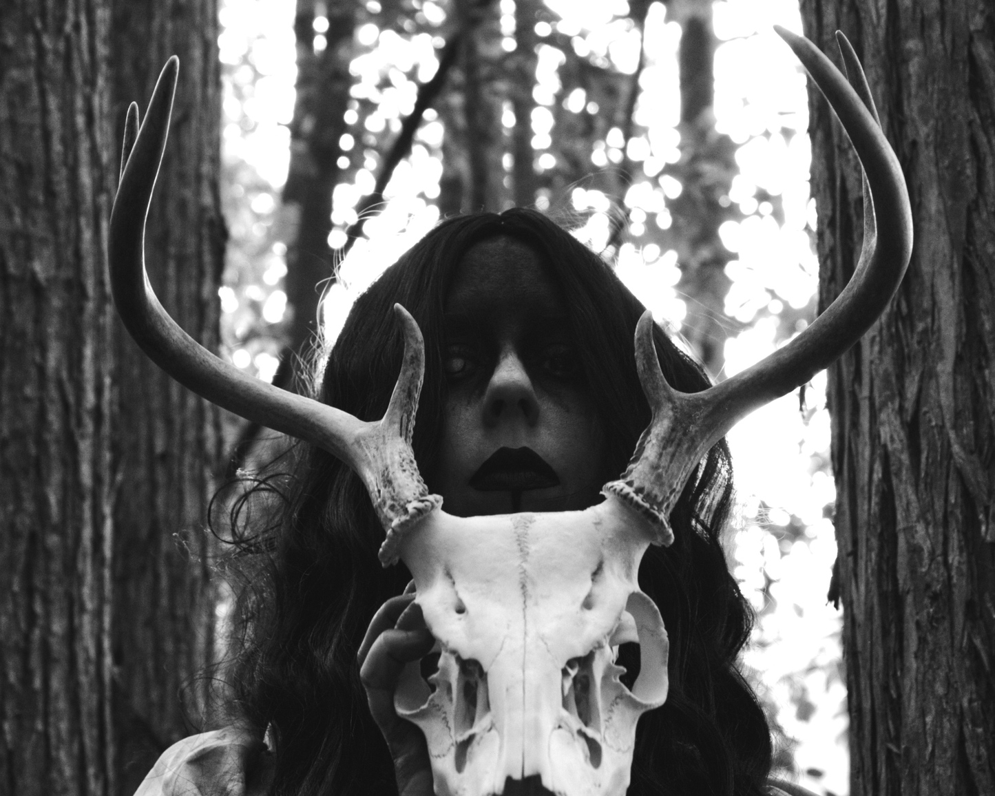 Original Photography